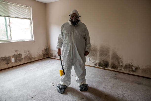 Best Mold Testing  in Mount Hore, WI